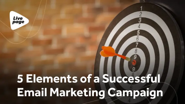 Who Should You Target With Your Email Marketing Campaigns? Discover Key Audiences